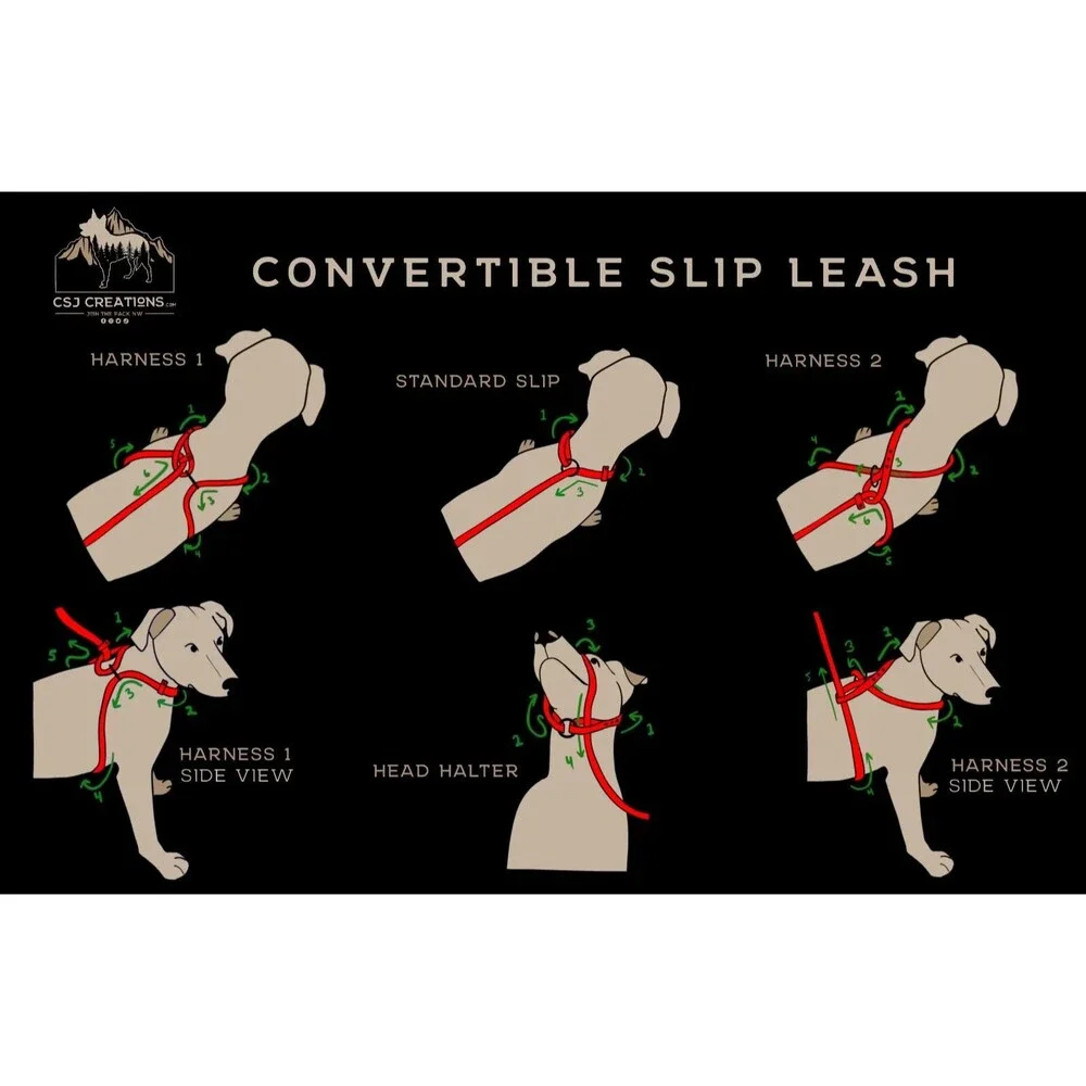 4’ Biothane Convertible Slip Dog Leash No Pull Harness or Head Halter 5/8